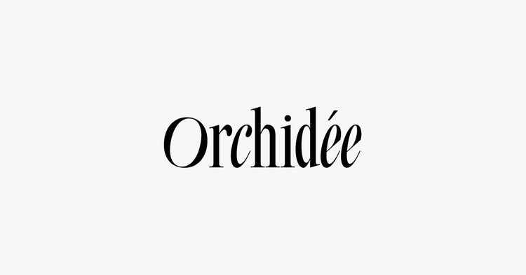 Maison Orchidée：ランキング