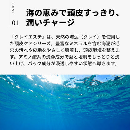クレイエステ パックEX 500g