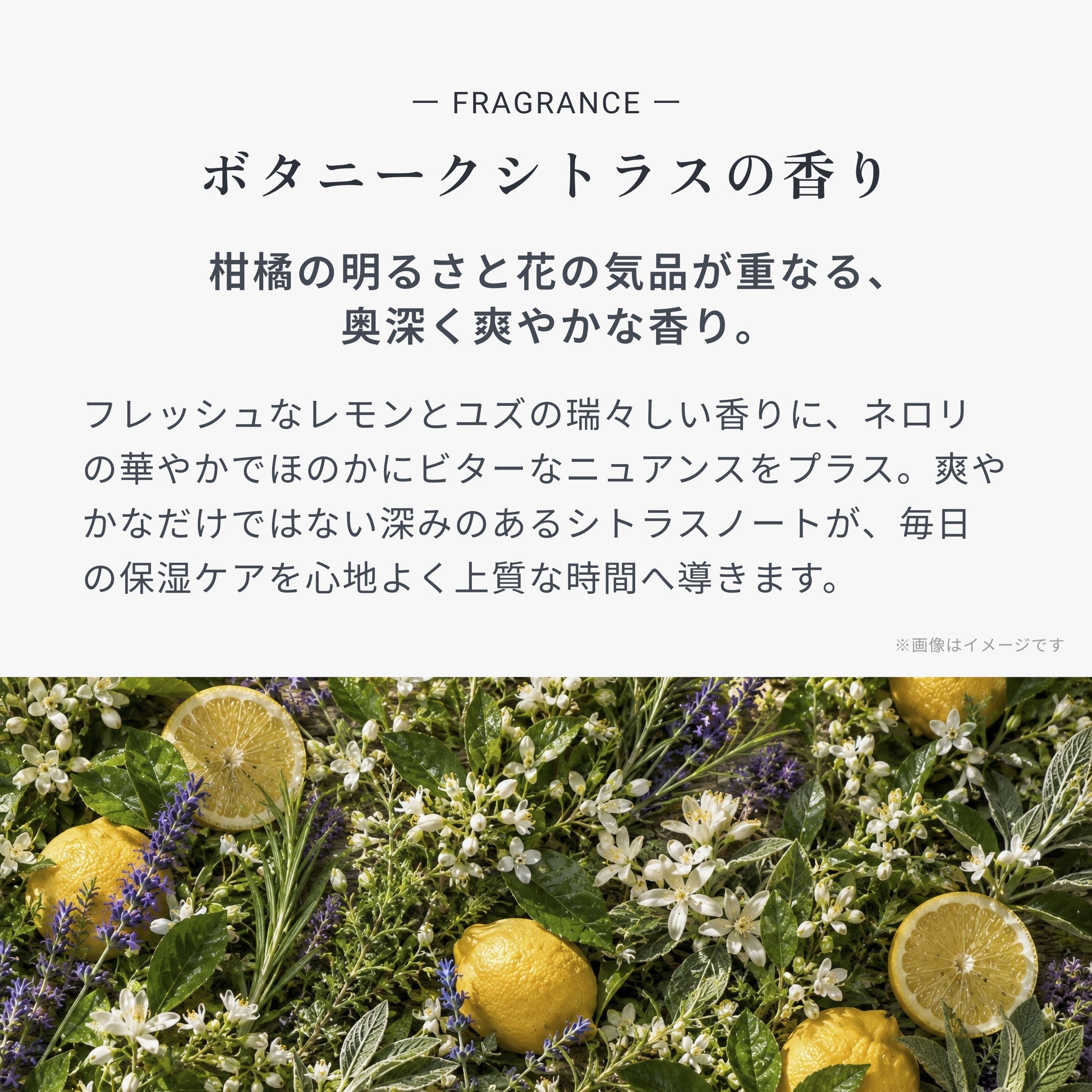 ビオメディ アロマティックマルチバーム ボタニークシトラス 画像09