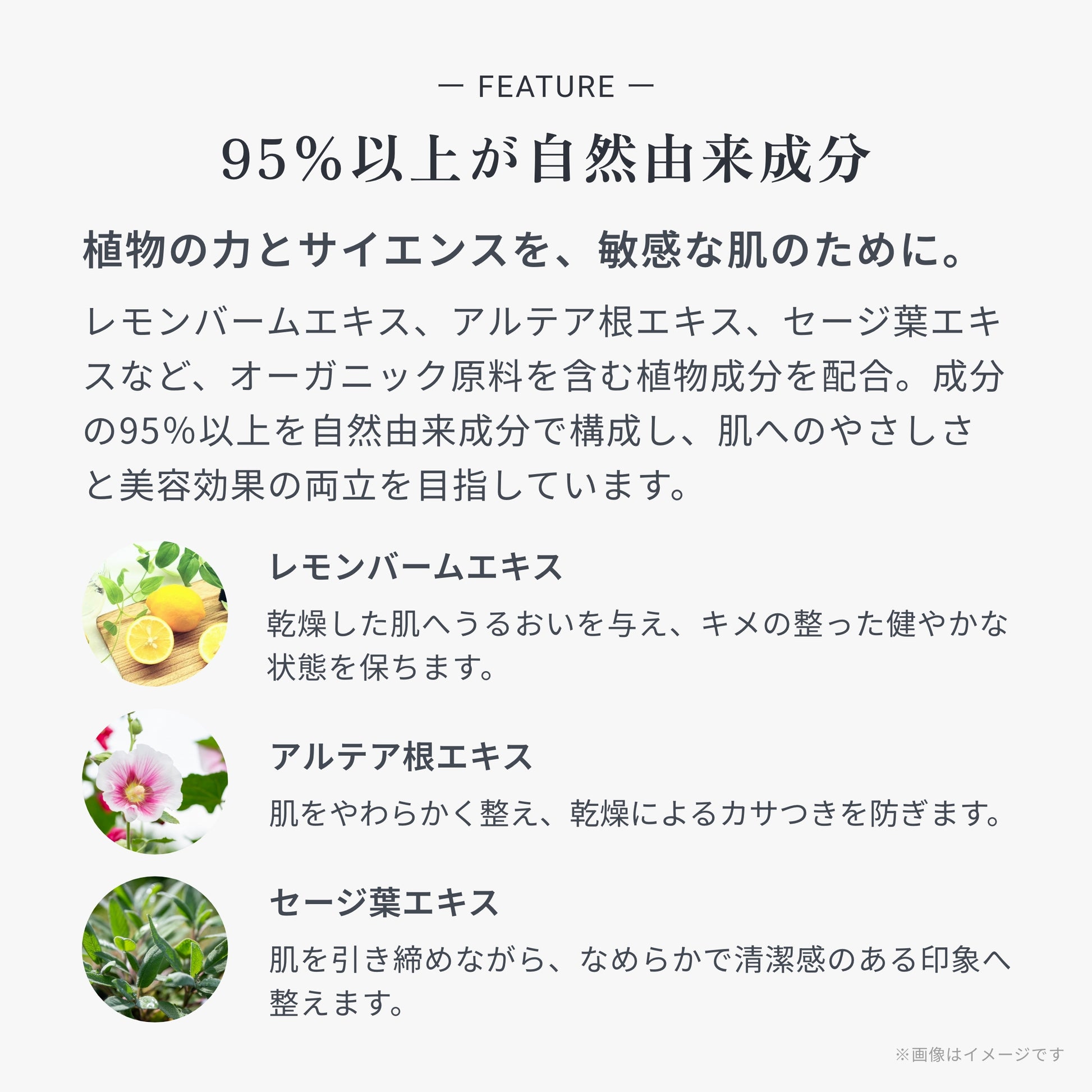 ビオメディ ザ セラム 画像07