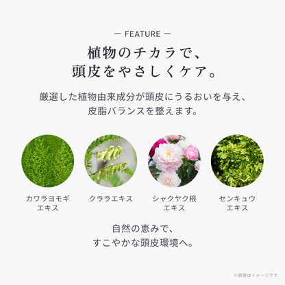 ビオーブ リフレッシュスキャルプシャンプー