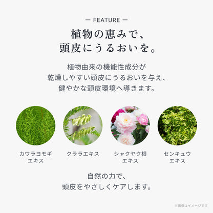 ビオーブ モイストスキャルプシャンプー