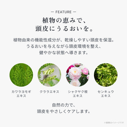 ビオーブ スキャルプトリートメント