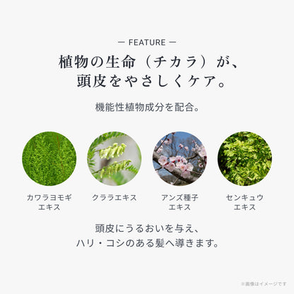 ビオーブ フォルスナリシング
