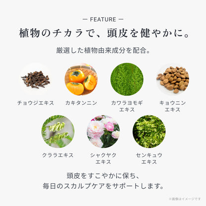 ビオーブ フォーメン スキャルプ クレンジングシャンプー