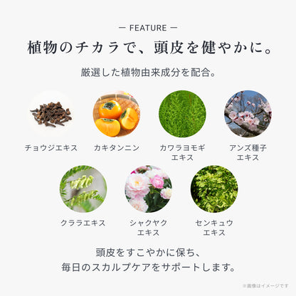 ビオーブ フォーメン スキャルプパックジェル