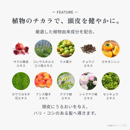 ビオーブ フォーメン フォルスナリシングX