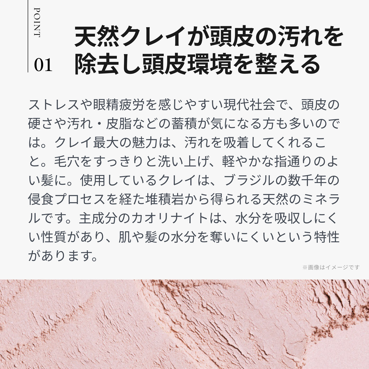 プライミング シャンプー ピンククレイ