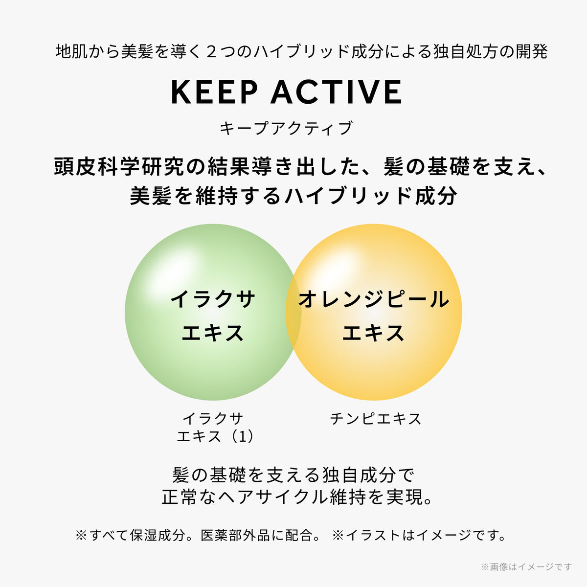 スカルプトリートメント タイプ OS