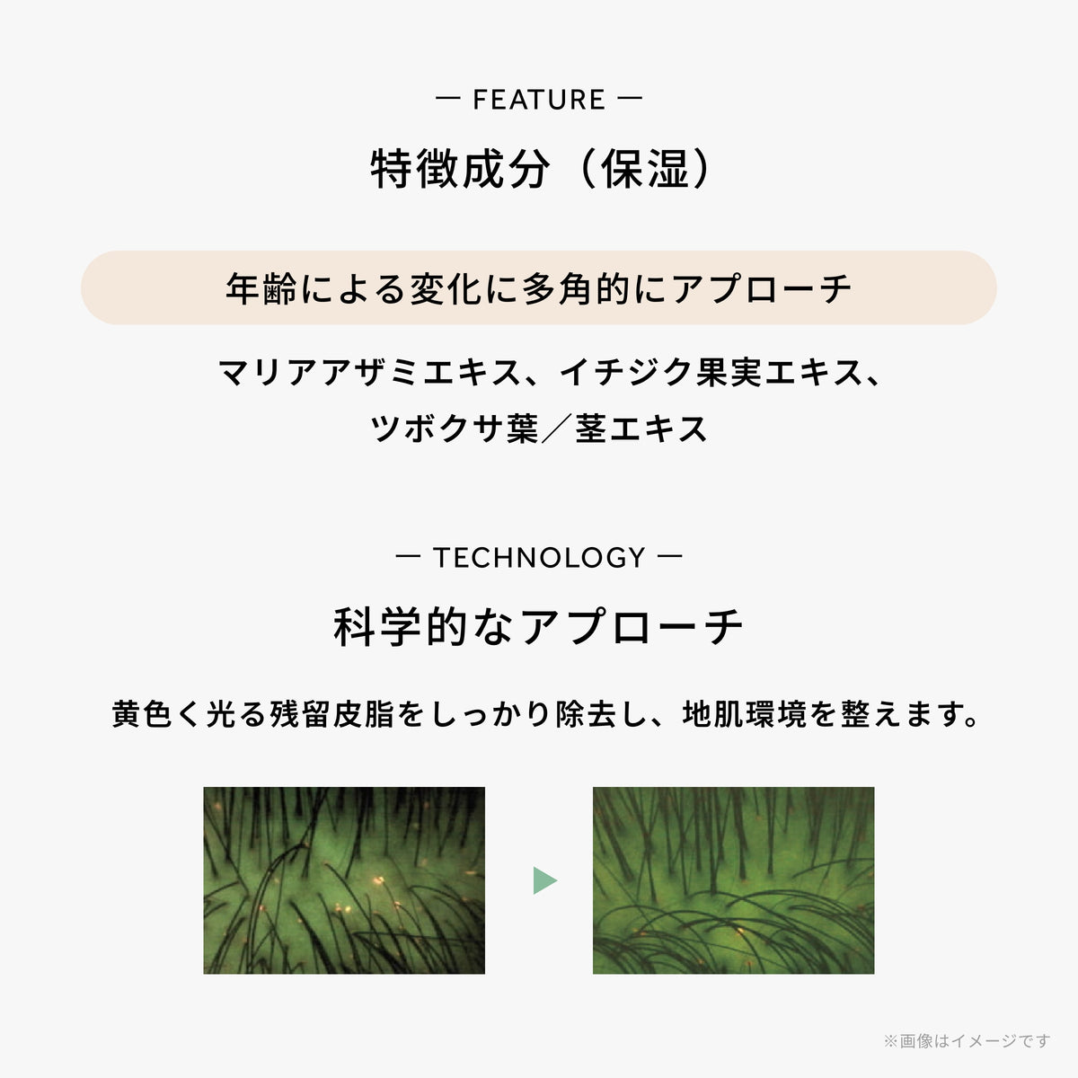 スカルプパウダー