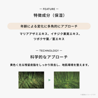 デミドゥ スカルプパウダー