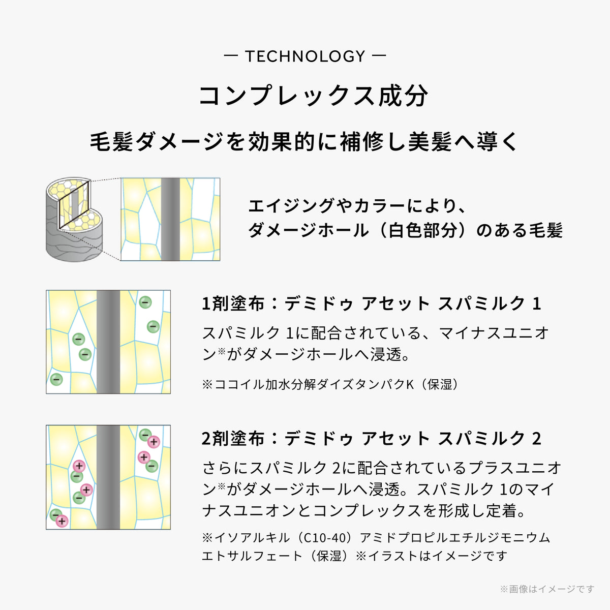 アセット スパミルク 2