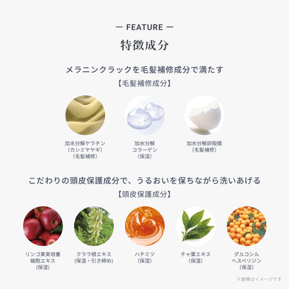 フローディア シャンプー ディープモイスト