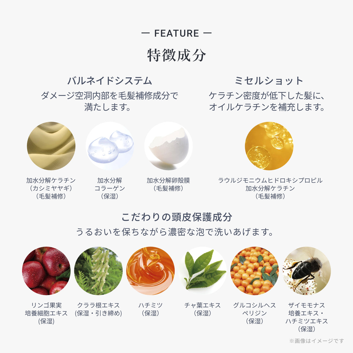 シャンプー グランストレッチ