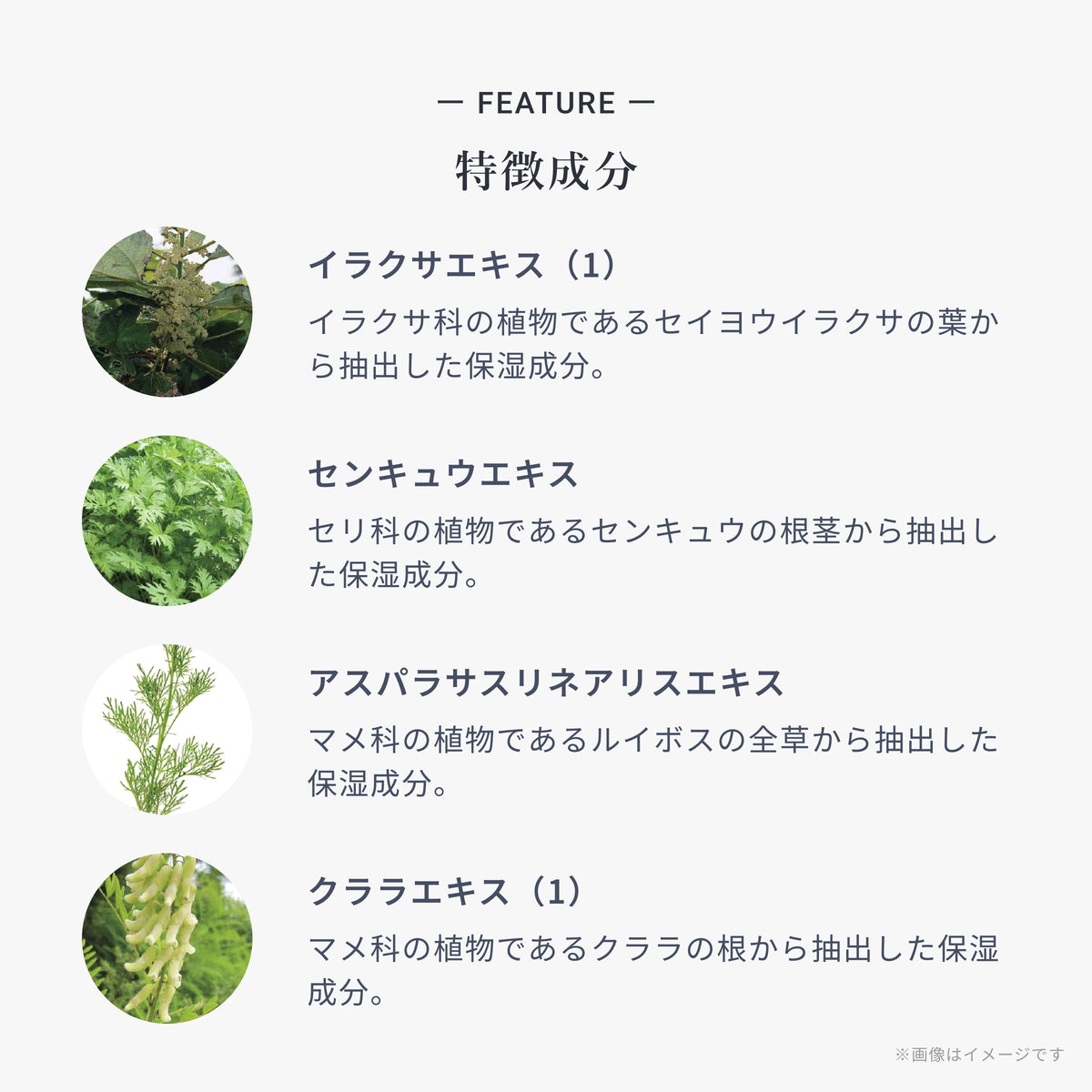 スキャルプシャンプー ライト