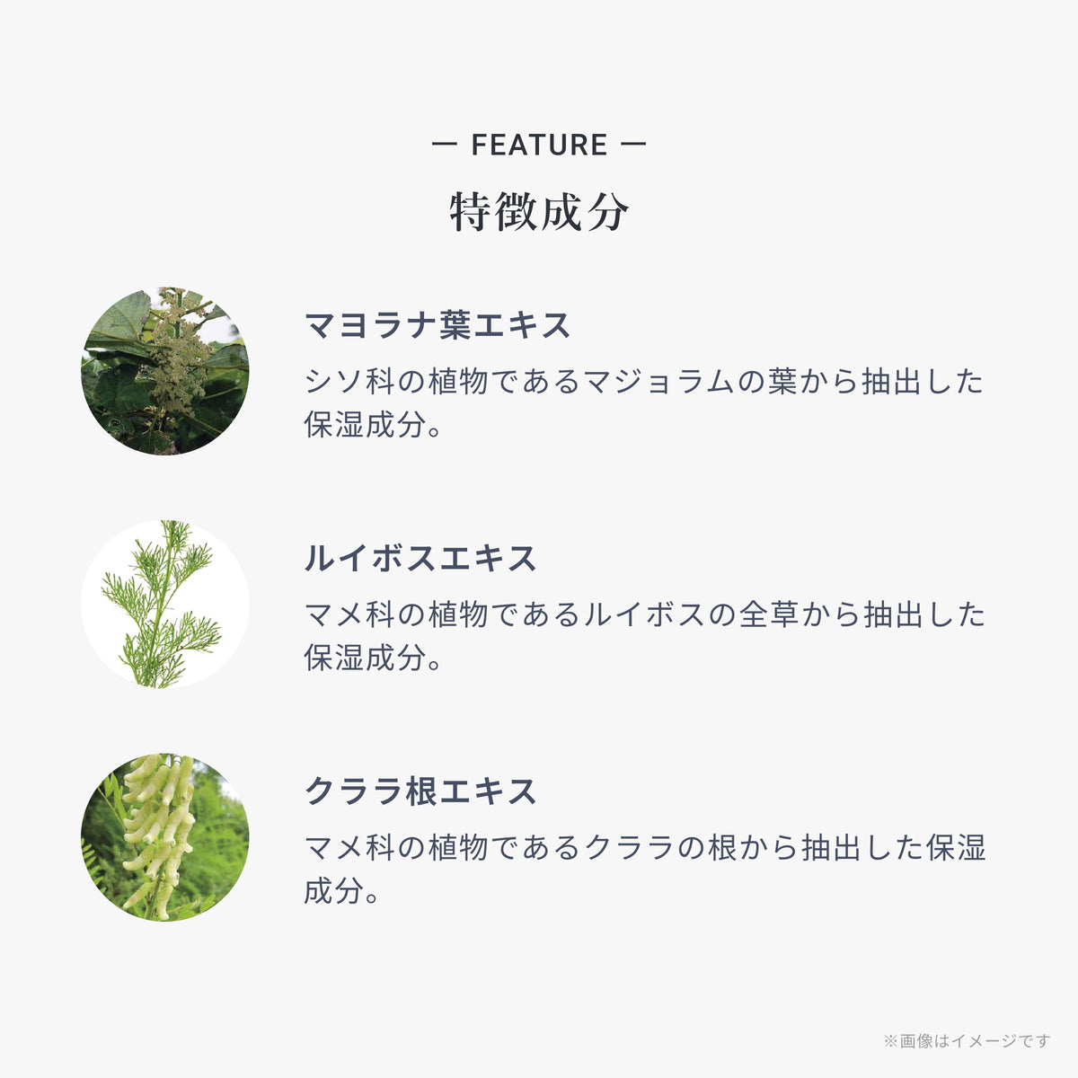 シャンプー バランシング