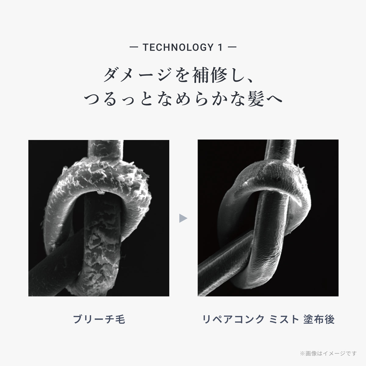 モア リペアコンク ミスト
