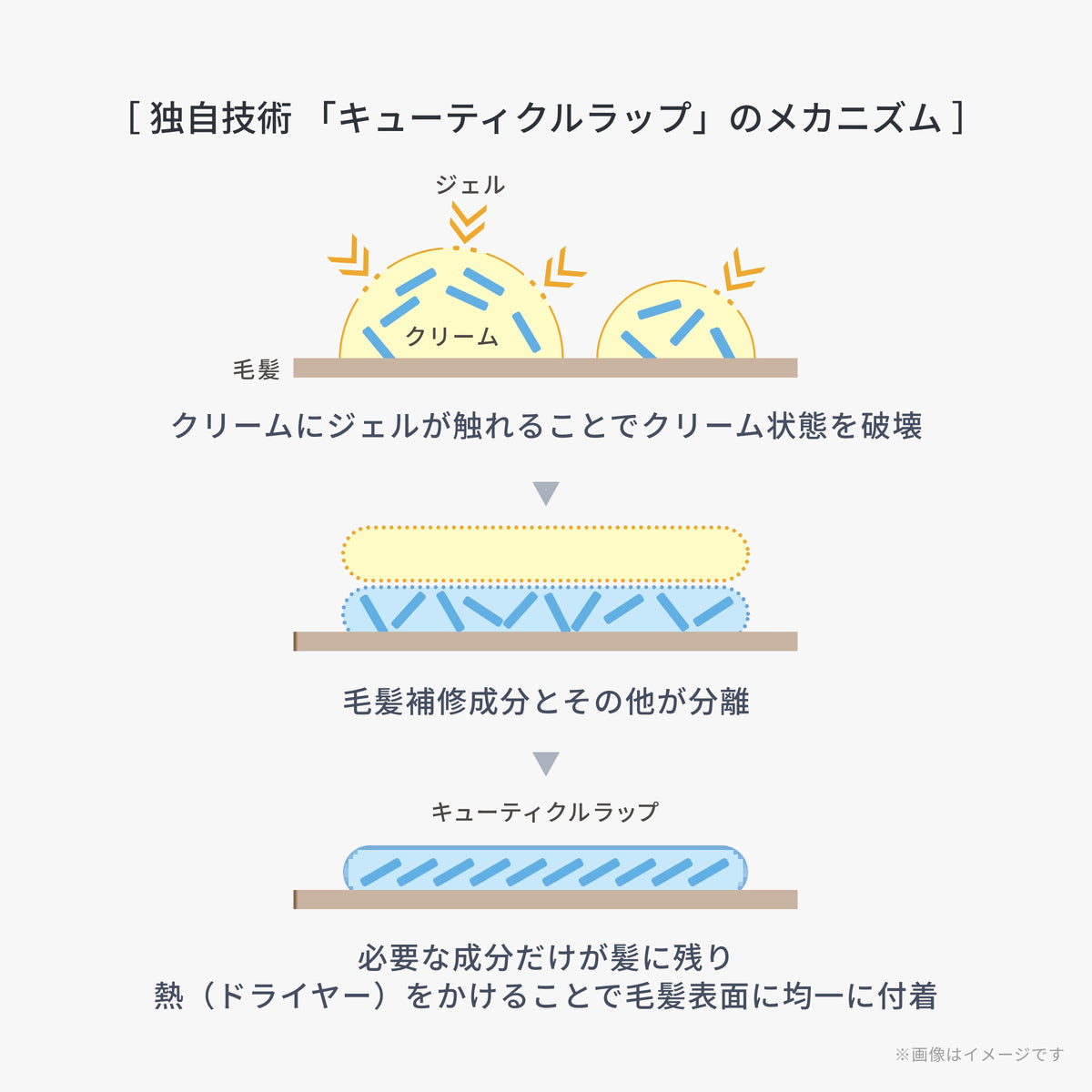 モア リペアコンクメルティー（メルティー1、ジェル2）
