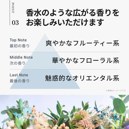 イロプラス アッシュ