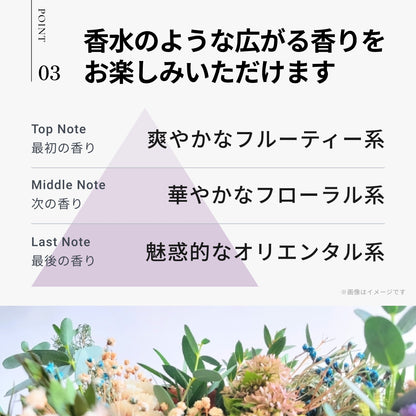 イロプラス パープル