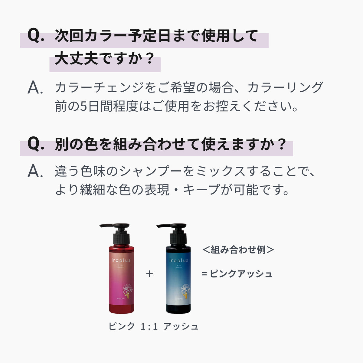 パープル
