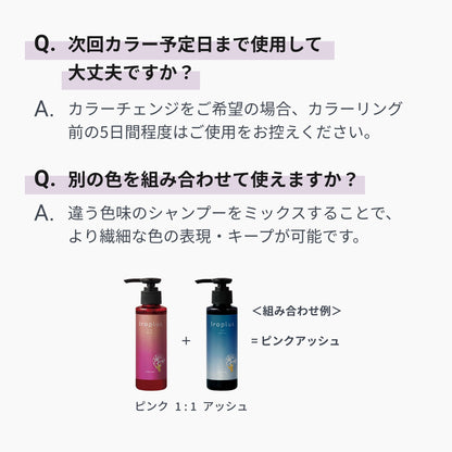 イロプラス パープル
