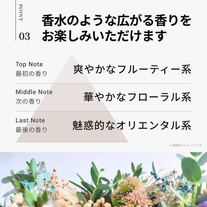 イロプラス ミルクベージュ