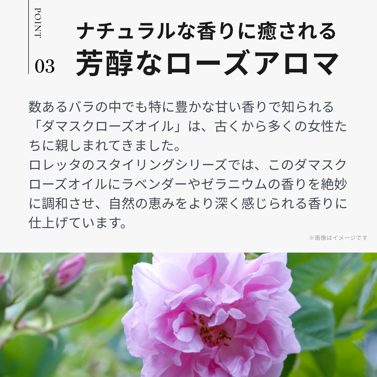 ロレッタ メイクアップワックス 2.5 商品画像 7