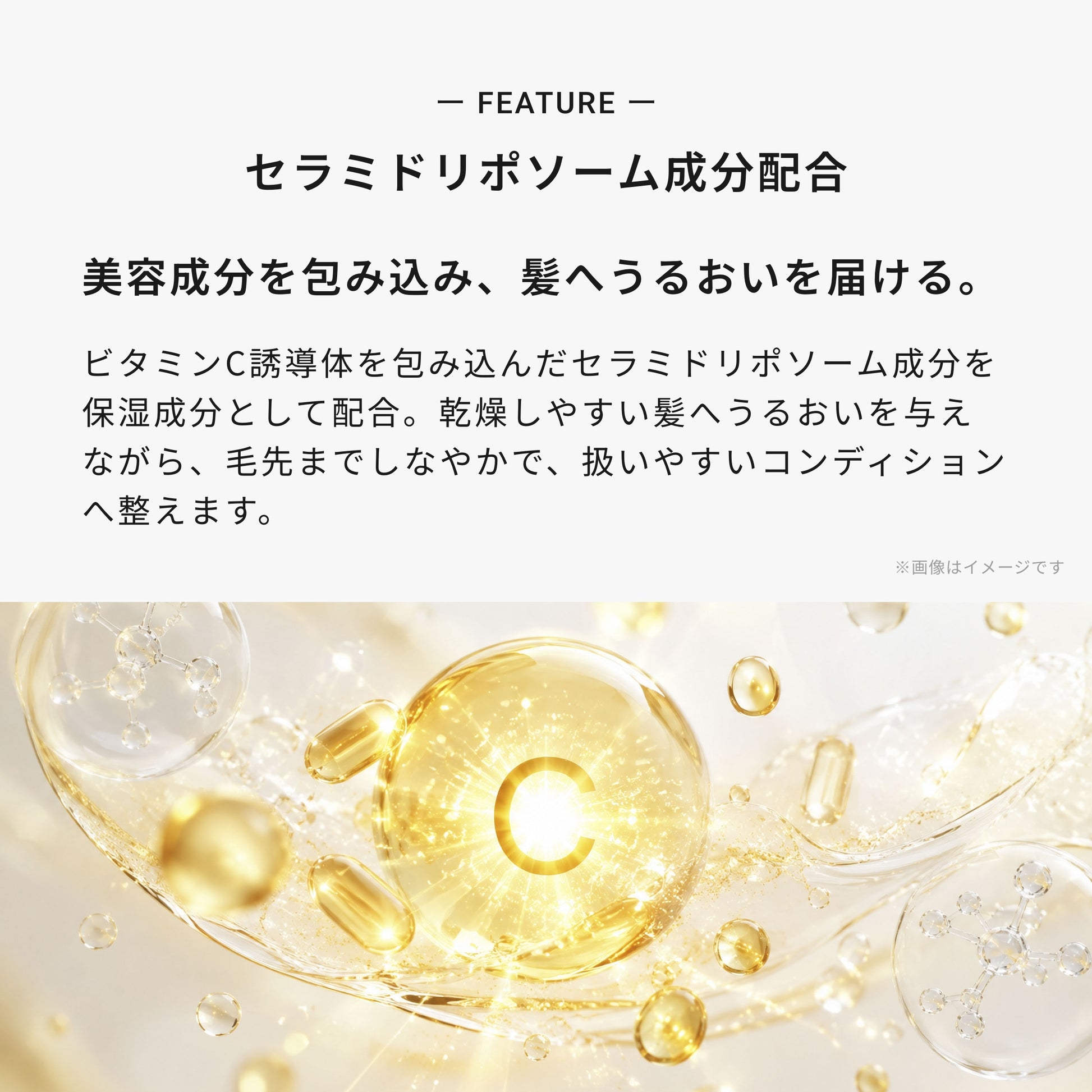 メゾン オルキデ リッチミルク 画像06