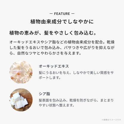 メゾン オルキデ リッチミルク 画像08
