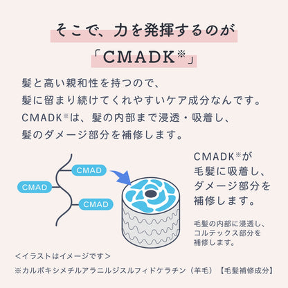 エルジューダ エマルジョン＋