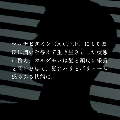 ノストラム ホモ ヘアローション トニックＳＴ Ｖ＆Ｃ（ビタミンコンプレックス＆カルダモン）