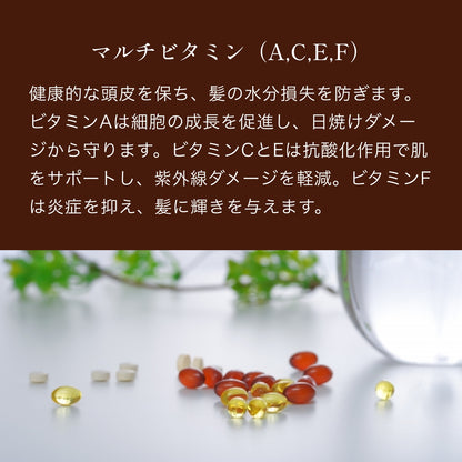 ノストラム ホモ ヘアローション トニックＳＴ Ｖ＆Ｃ（ビタミンコンプレックス＆カルダモン）
