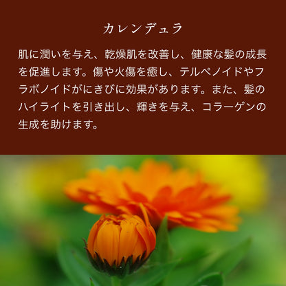 ノストラム ホモ ビアードオイル Ｃ＆Ａ（カレンデュラ＆アーモンド）