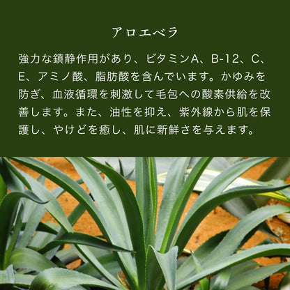 ノストラム ホモ アフターシェーブバーム Ａ＆Ｃ（アロエ＆カモミール）