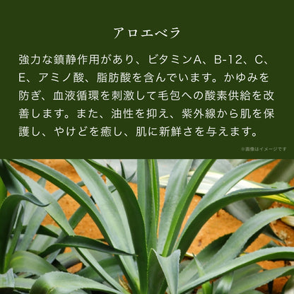 ノストラム ホモ アフターシェーブバーム Ａ＆Ｃ（アロエ＆カモミール）