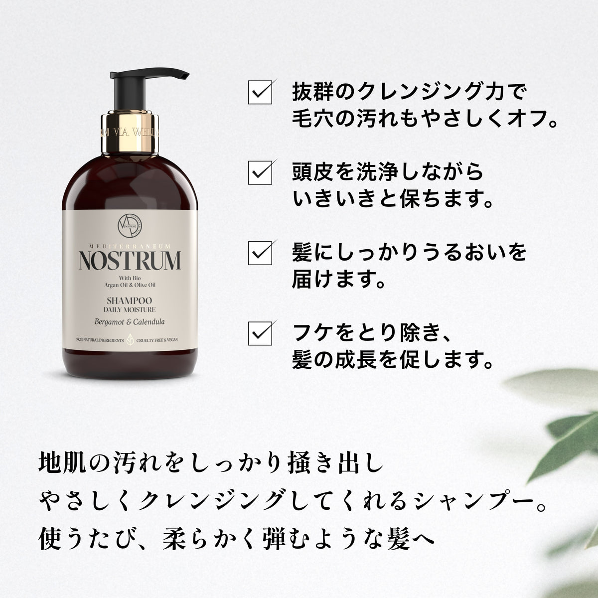 シャンプー デイリー Ｂ＆Ｃ（ベルガモット＆カレンデュラ）