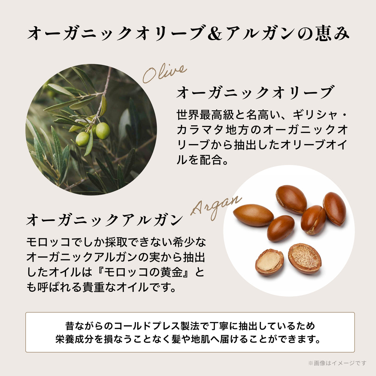 コンディショナー デイリー Ｂ＆Ｃ（ベルガモット＆カレンデュラ）