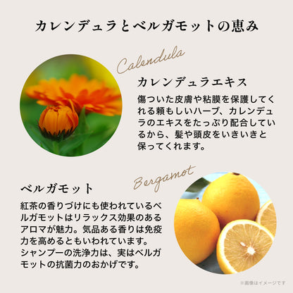 ノストラム コンディショナー デイリー Ｂ＆Ｃ（ベルガモット＆カレンデュラ）