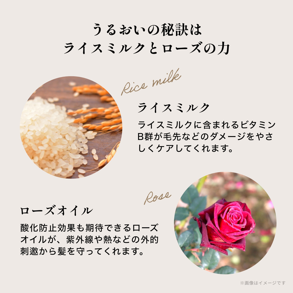 ヘアリキッドコンディショナー リーブイン Ｒ＆Ｒ（ライスミルク＆ローズ）