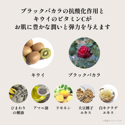 ノストラム ＵＬアイクリーム Ｂ＆Ｋ（ブラックバカラ＆キウイ）