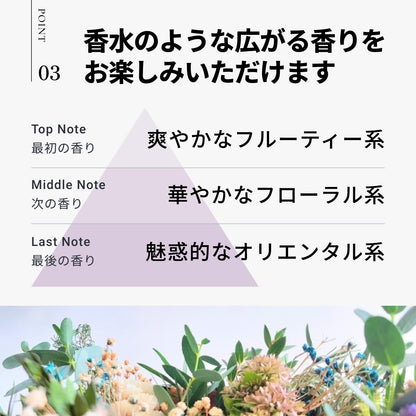 イロプラス パープル