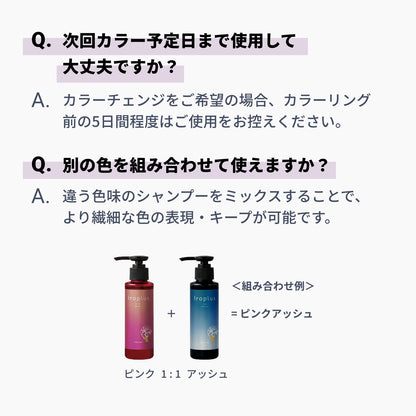 イロプラス パープル