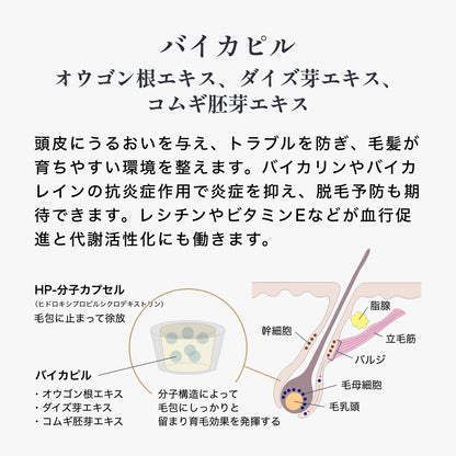 ルーラ　スカルプリッチシャンプー