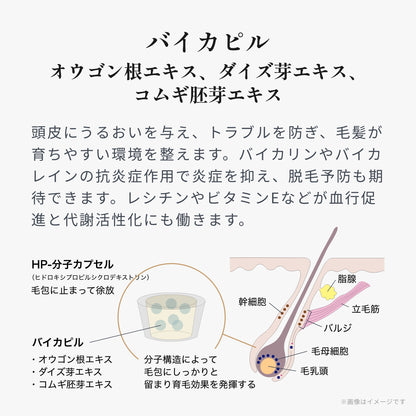 ルーラ スカルプリッチシャンプー