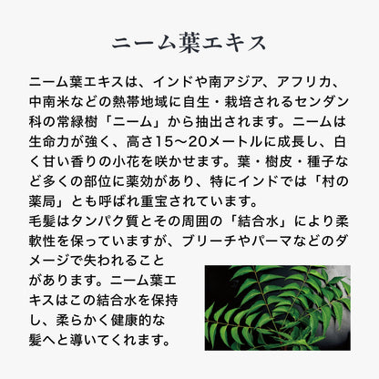 ルーラ モイストリッチトリートメント
