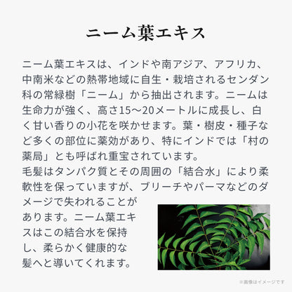 ルーラ モイストリッチトリートメント