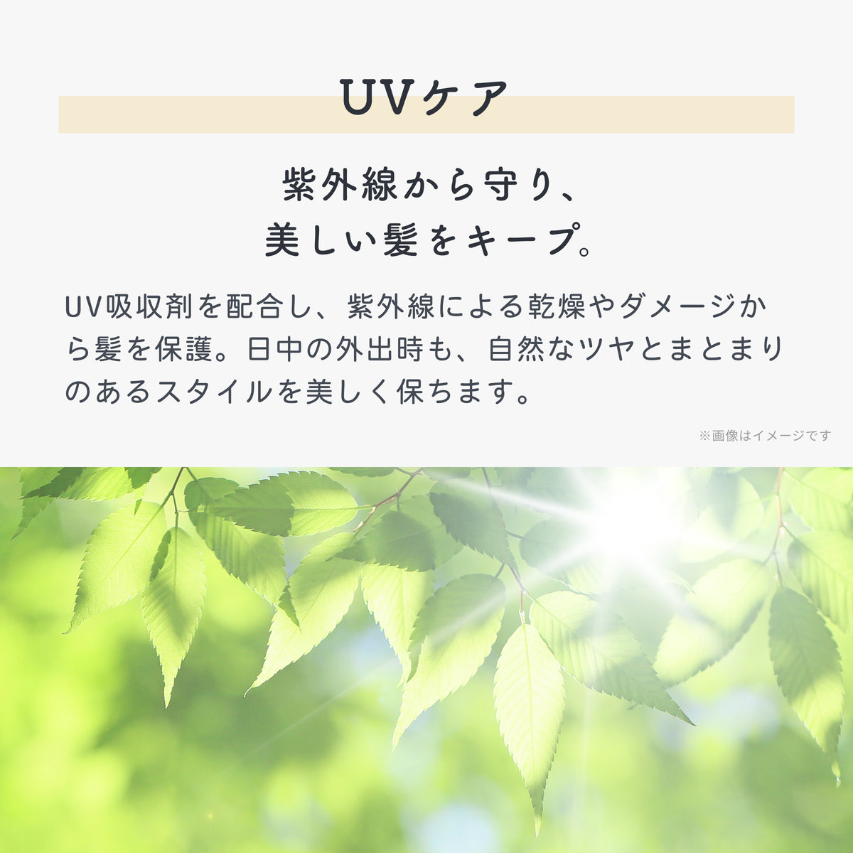 UEVO-IMAGE-REPLACE-20260813155609-001-07