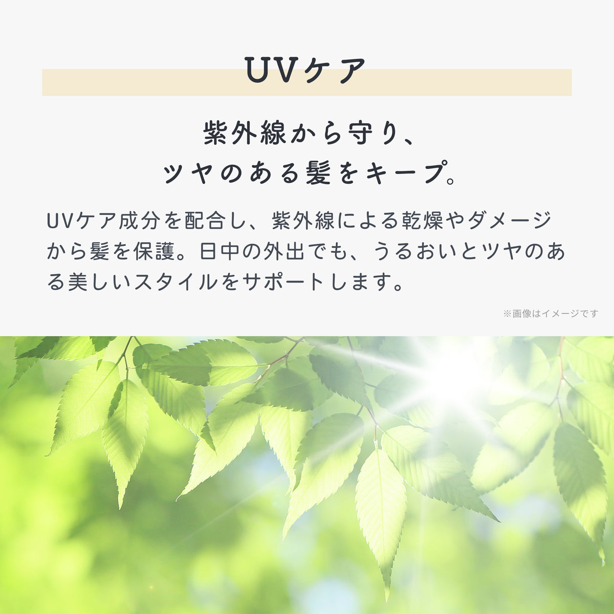 UEVO-IMAGE-REPLACE-20260813155609-003-07