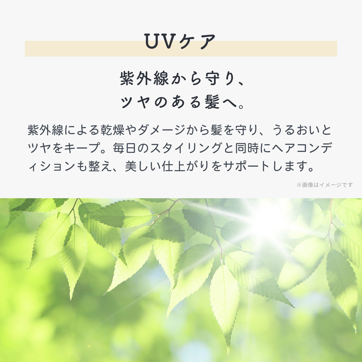 UEVO-IMAGE-REPLACE-20260813155609-004-07